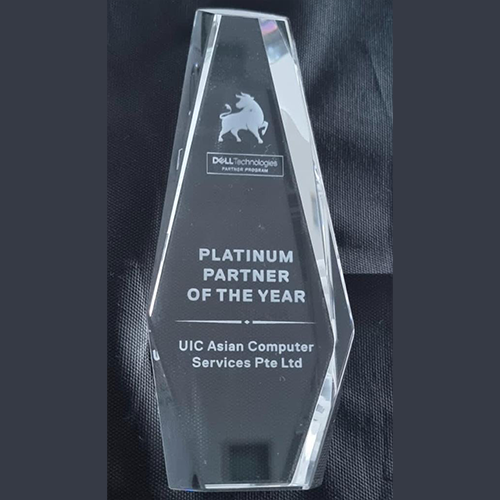 DELL Partner of the Year 2021